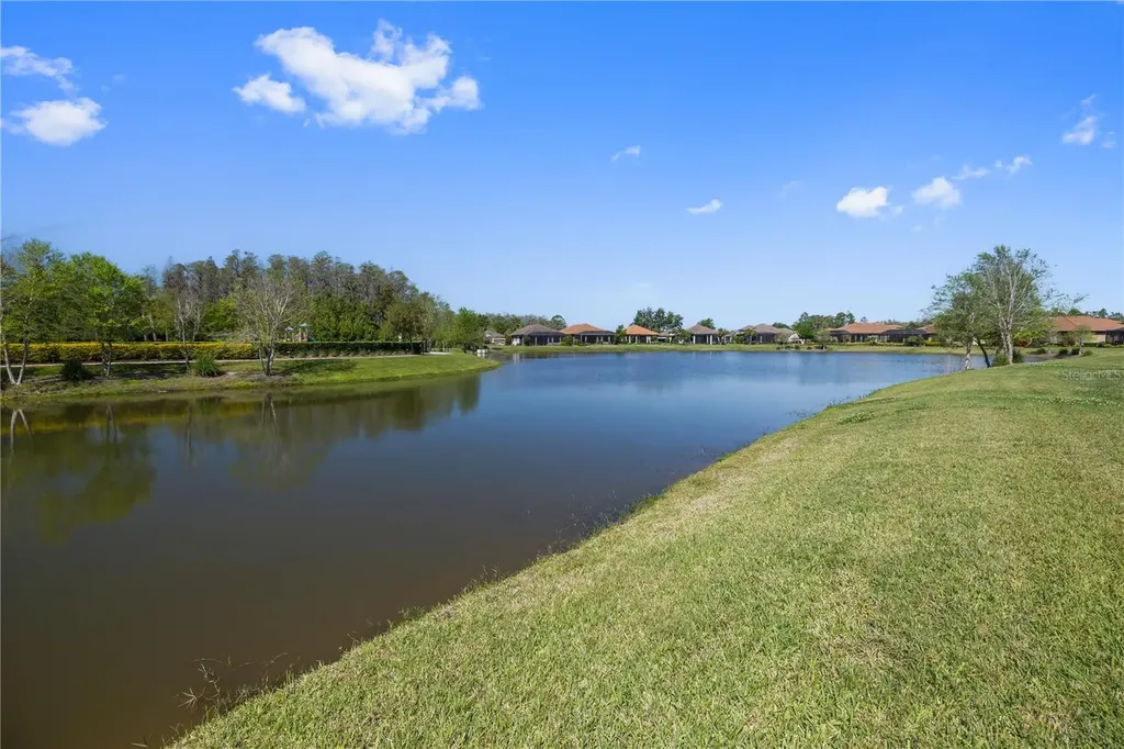 11414 Juglans Drive Odessa FL 33556