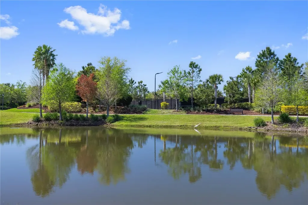 11414 Juglans Drive Odessa FL 33556