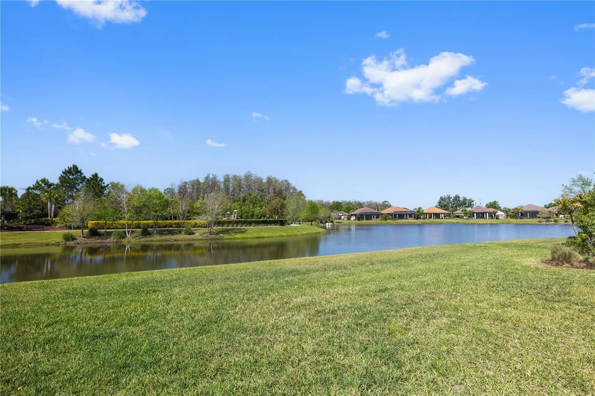 11414 Juglans Drive Odessa FL 33556