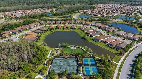 11414 Juglans Drive Odessa FL 33556