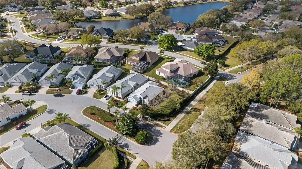 9212 Bonnington Drive Trinity FL 34655
