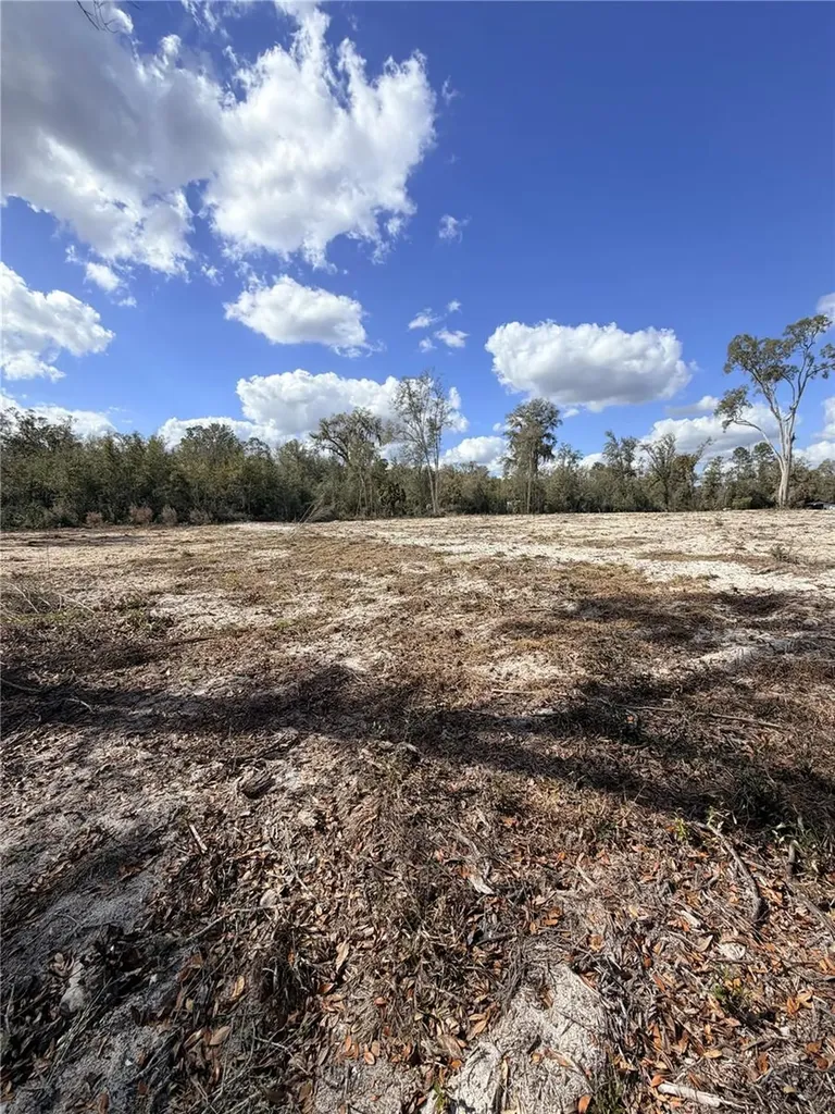 163 NE 159th Avenue Old Town FL 32680