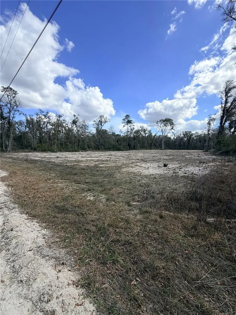 163 NE 159th Avenue Old Town FL 32680