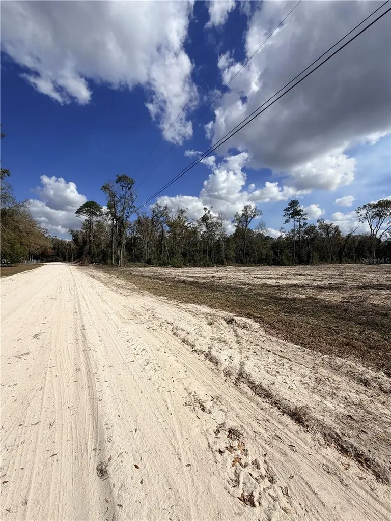 163 NE 159th Avenue Old Town FL 32680