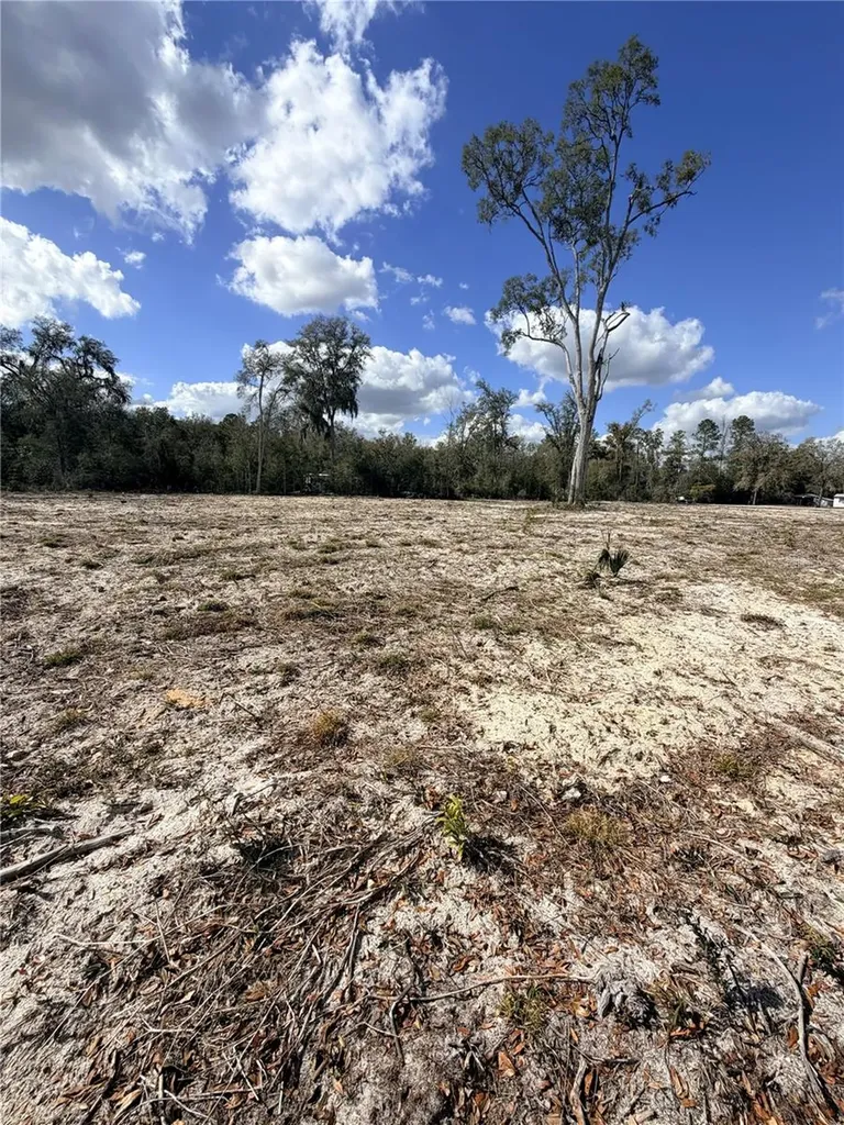 163 NE 159th Avenue Old Town FL 32680