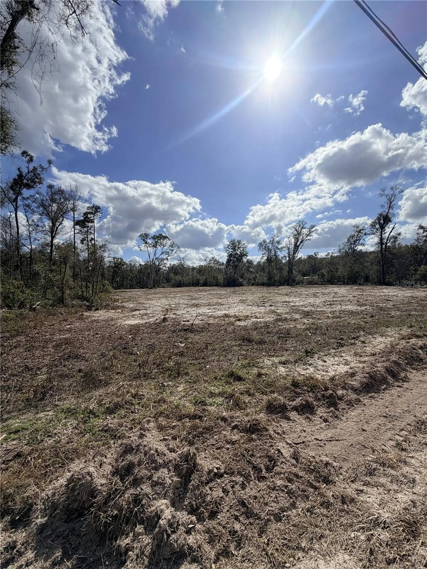 163 NE 159th Avenue Old Town FL 32680