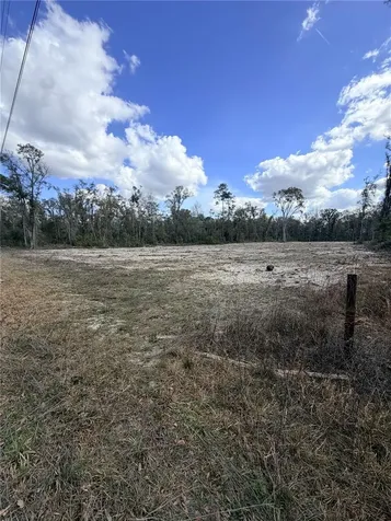 163 NE 159th Avenue Old Town FL 32680