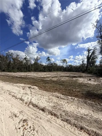 163 NE 159th Avenue Old Town FL 32680