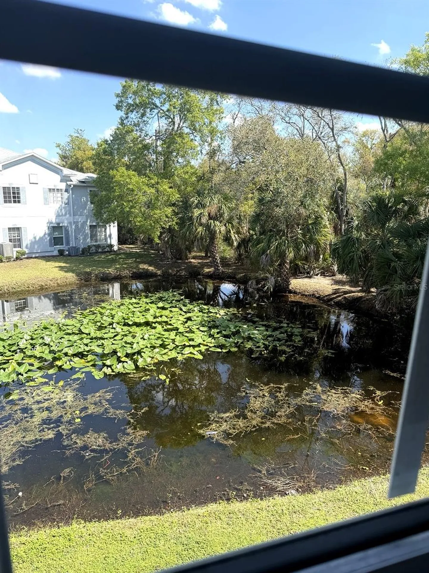 7135 Waterside Drive Tampa FL 33617