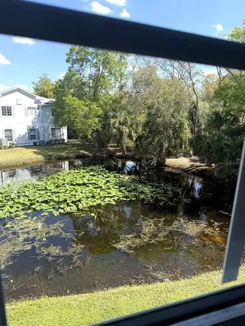 7135 Waterside Drive Tampa FL 33617