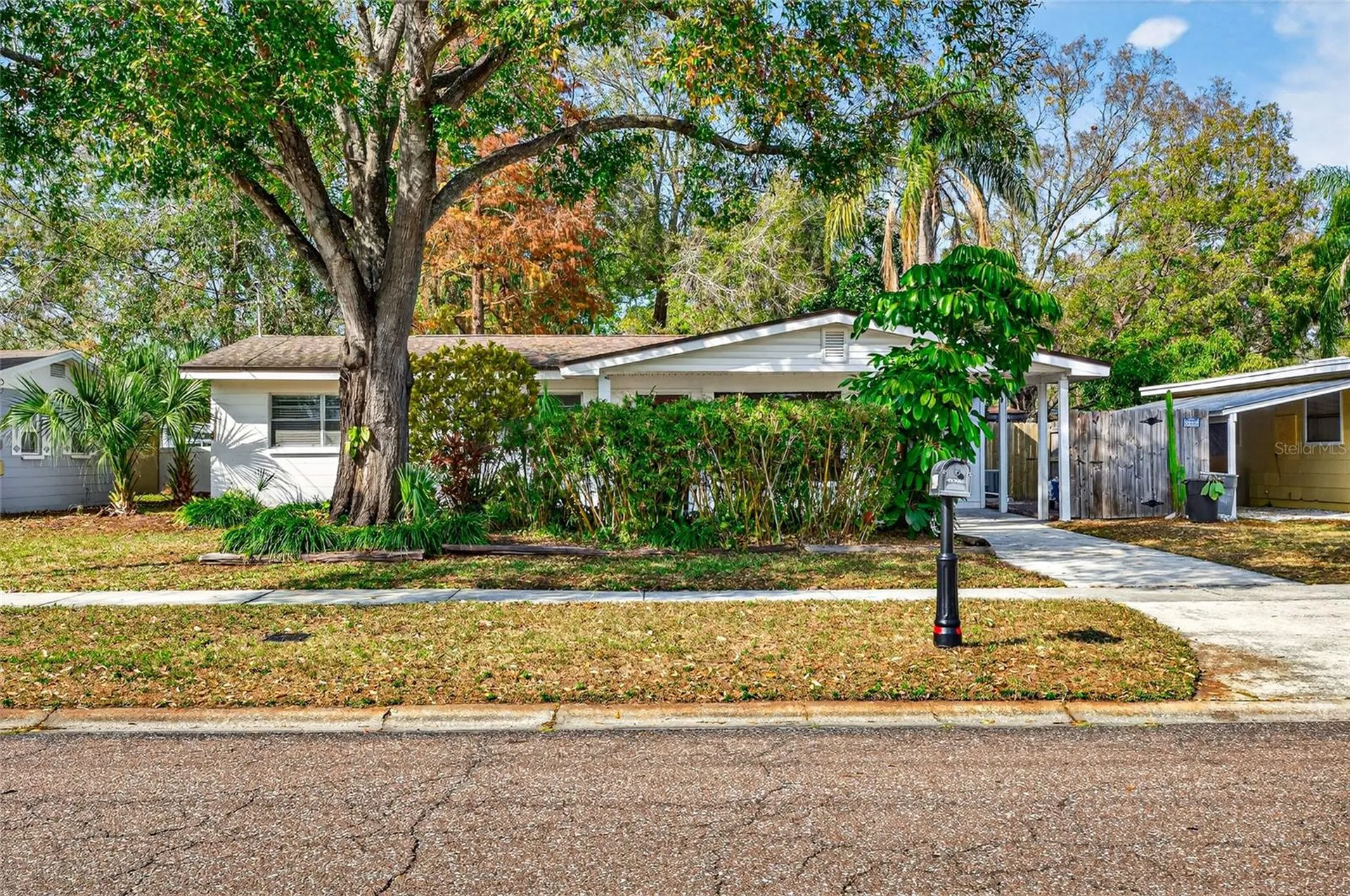 4419 W Iowa Avenue Tampa FL 33616