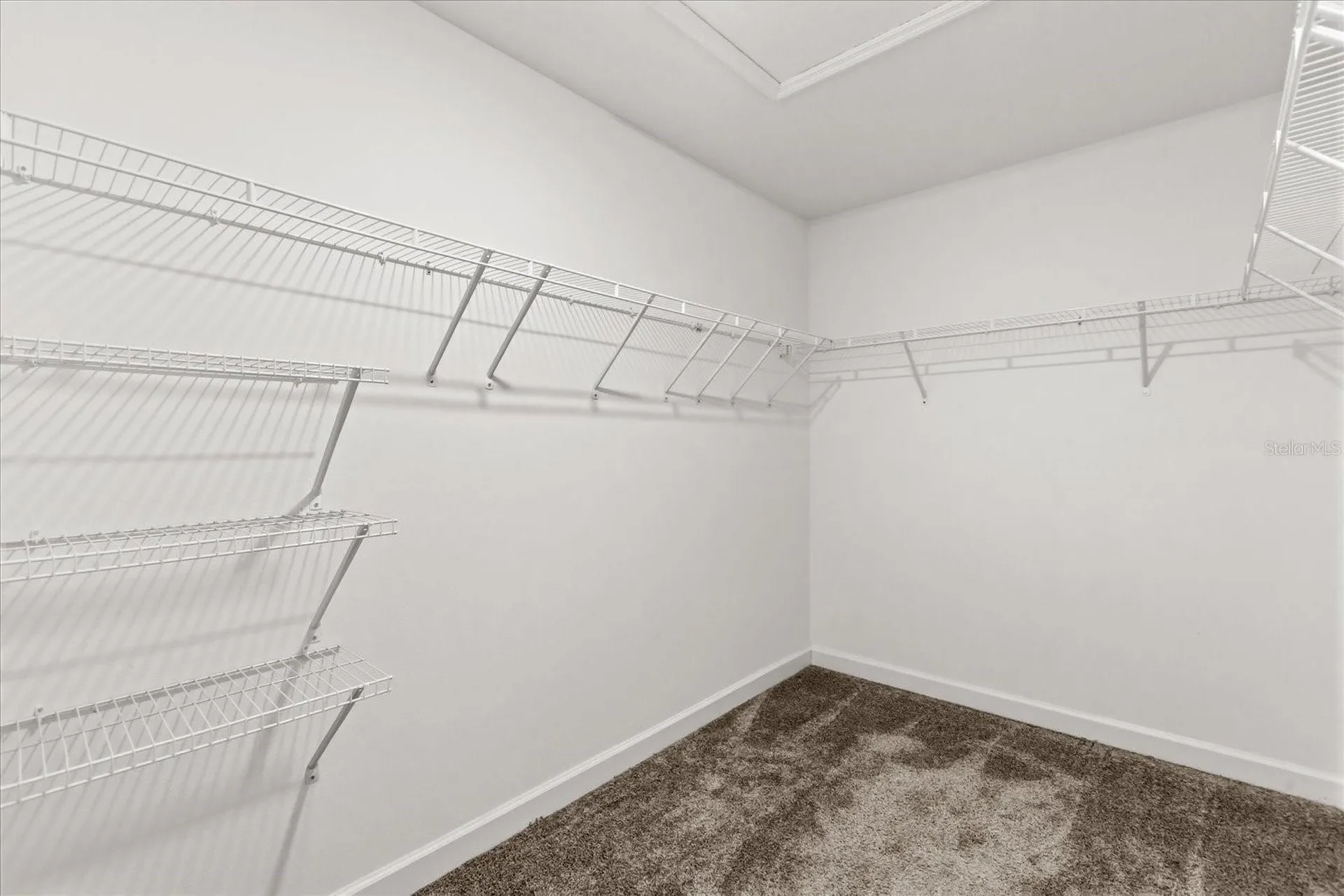 11904 Boldface Drive Orlando FL 32832