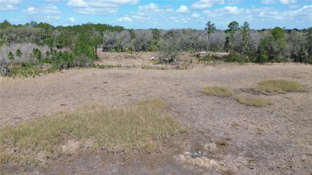E Highway 316 Citra FL 32113