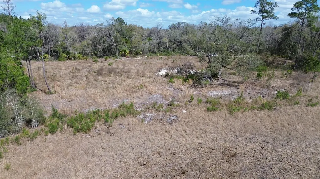E Highway 316 Citra FL 32113