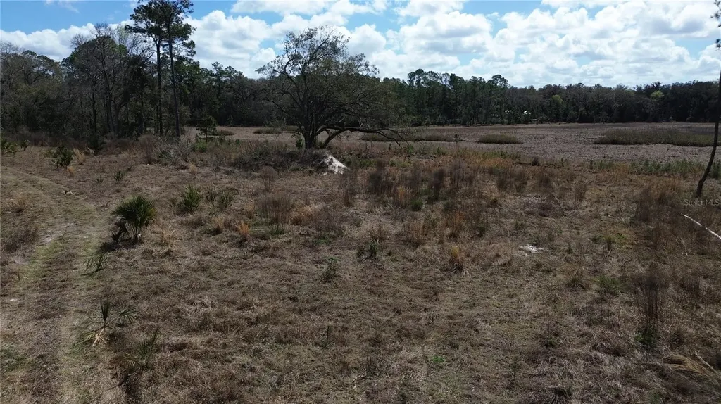 E Highway 316 Citra FL 32113