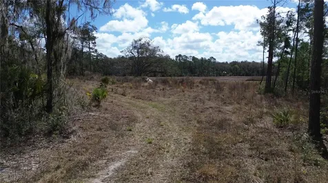 E Highway 316 Citra FL 32113