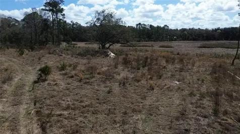 E Highway 316 Citra FL 32113