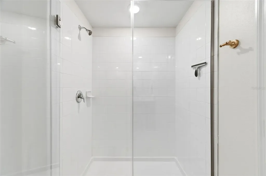 10387 Scarlet Skimmer Drive Riverview FL 33578