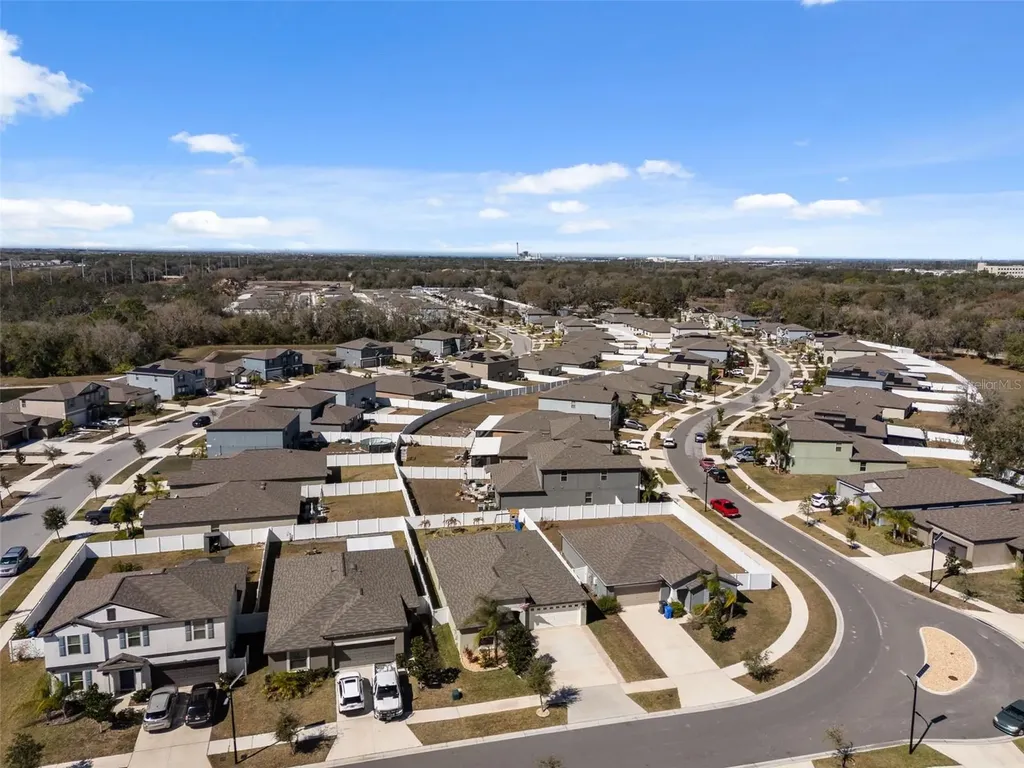 10387 Scarlet Skimmer Drive Riverview FL 33578