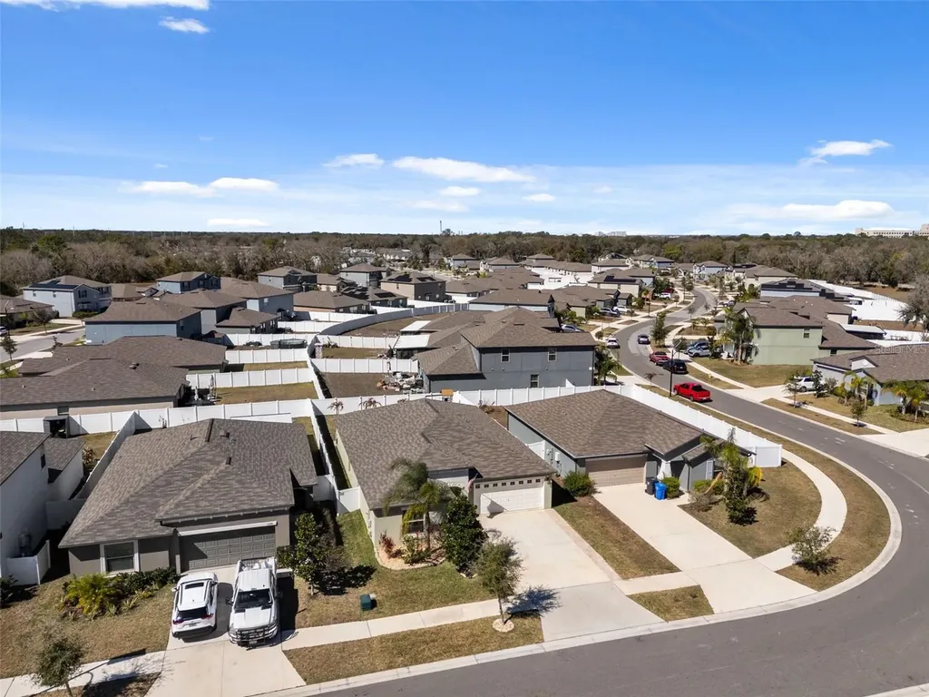 10387 Scarlet Skimmer Drive Riverview FL 33578