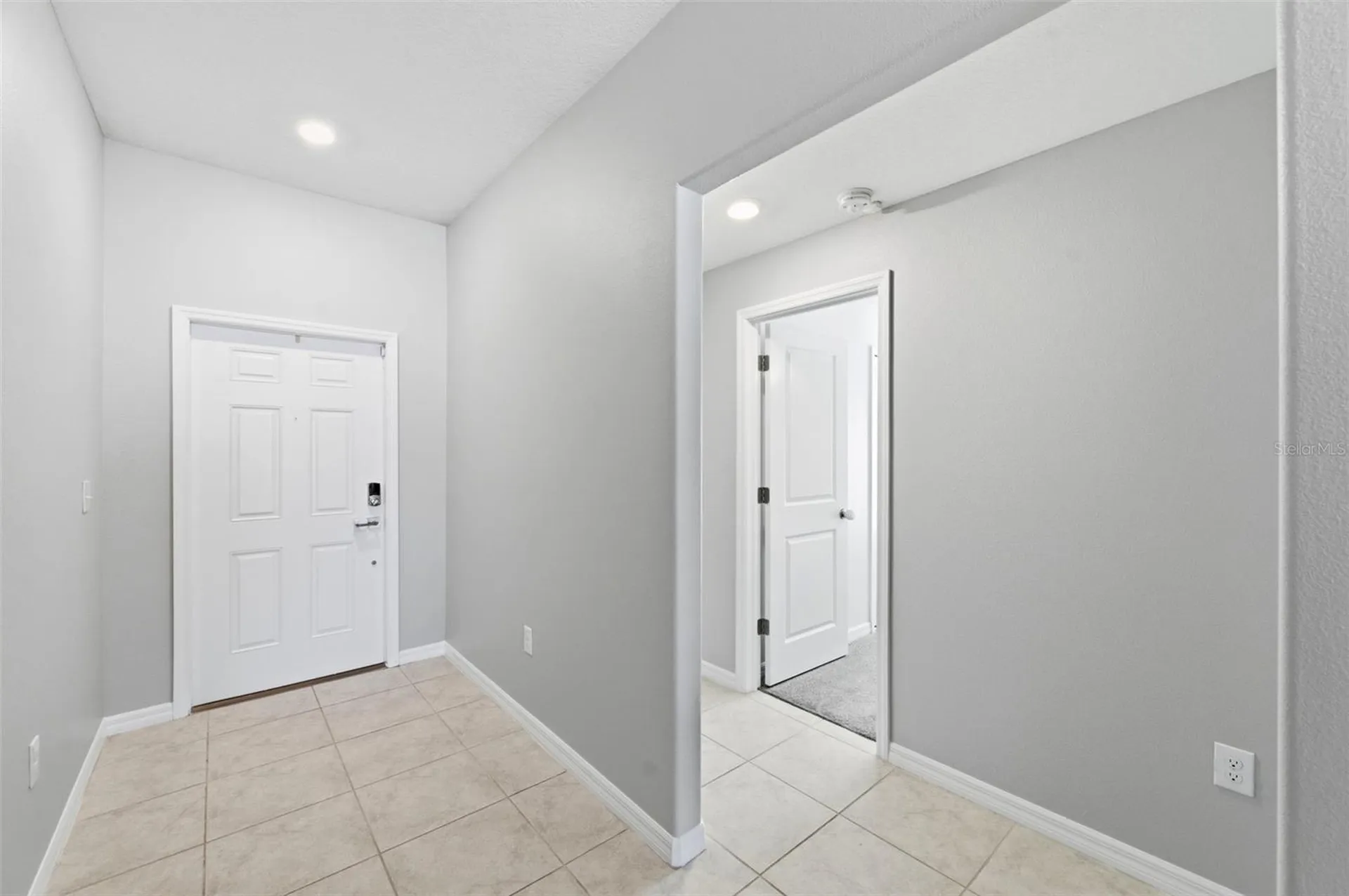 10387 Scarlet Skimmer Drive Riverview FL 33578
