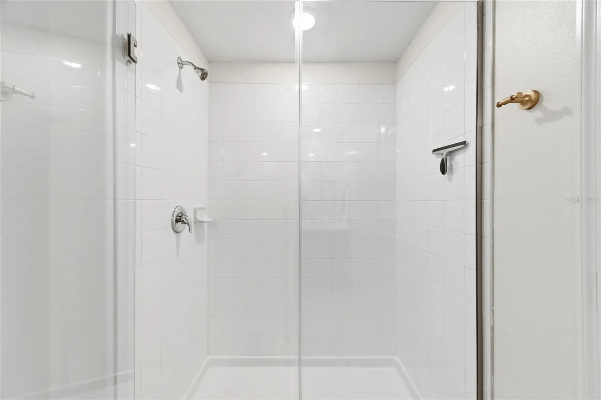 10387 Scarlet Skimmer Drive Riverview FL 33578