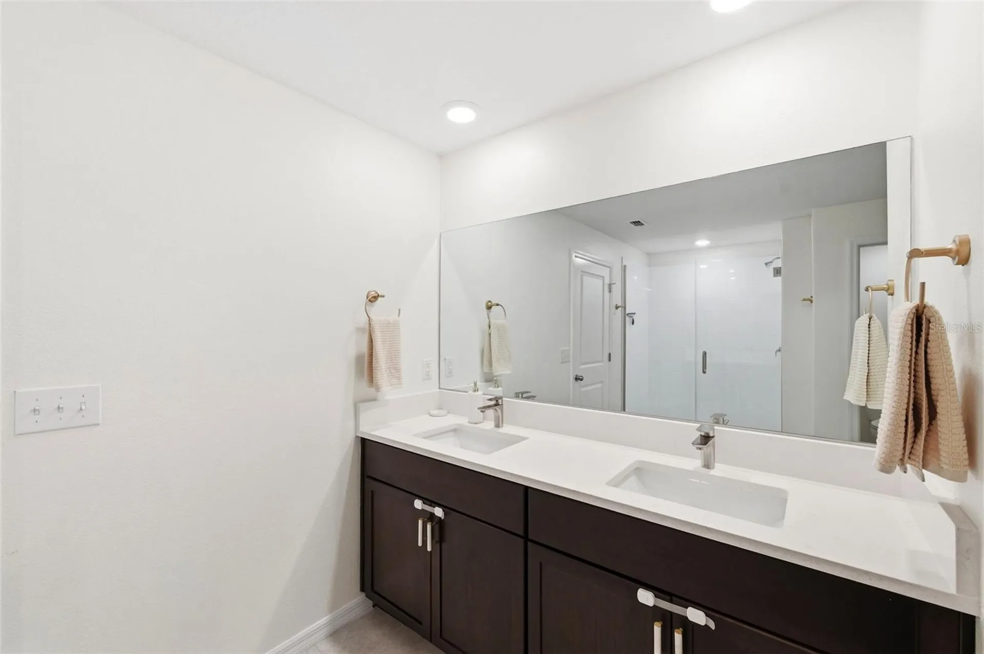 10387 Scarlet Skimmer Drive Riverview FL 33578