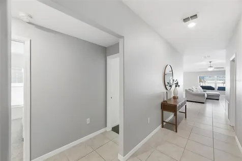10387 Scarlet Skimmer Drive Riverview FL 33578