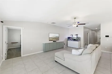 10387 Scarlet Skimmer Drive Riverview FL 33578