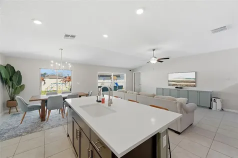 10387 Scarlet Skimmer Drive Riverview FL 33578