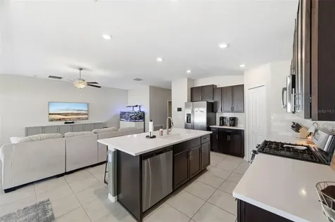 10387 Scarlet Skimmer Drive Riverview FL 33578