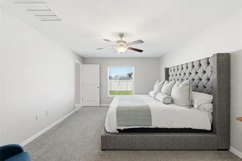 10387 Scarlet Skimmer Drive Riverview FL 33578