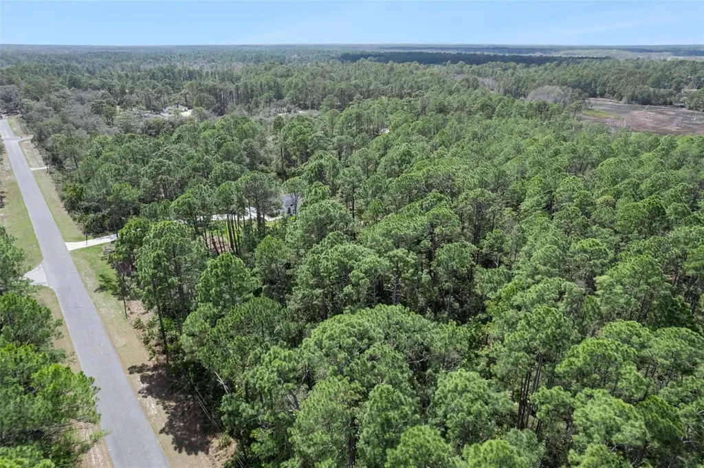 Cashew Street Eustis FL 32736