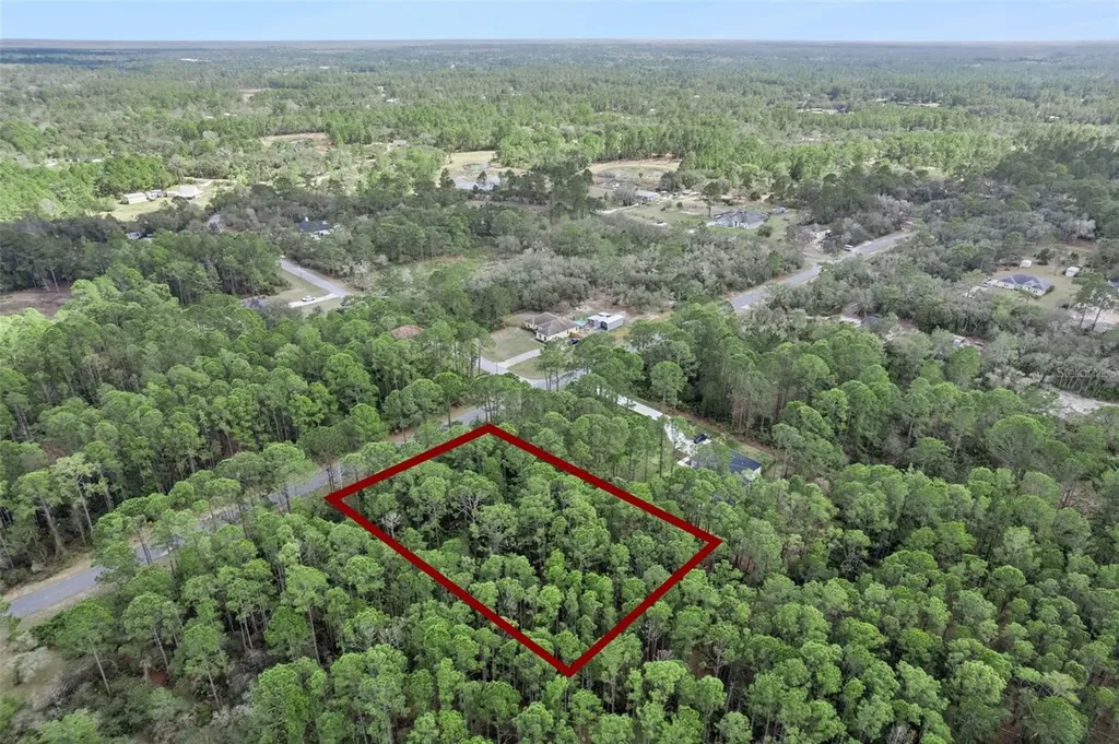 Cashew Street Eustis FL 32736