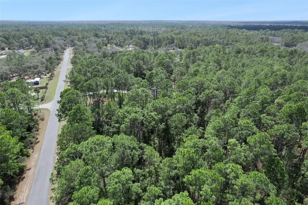 Cashew Street Eustis FL 32736