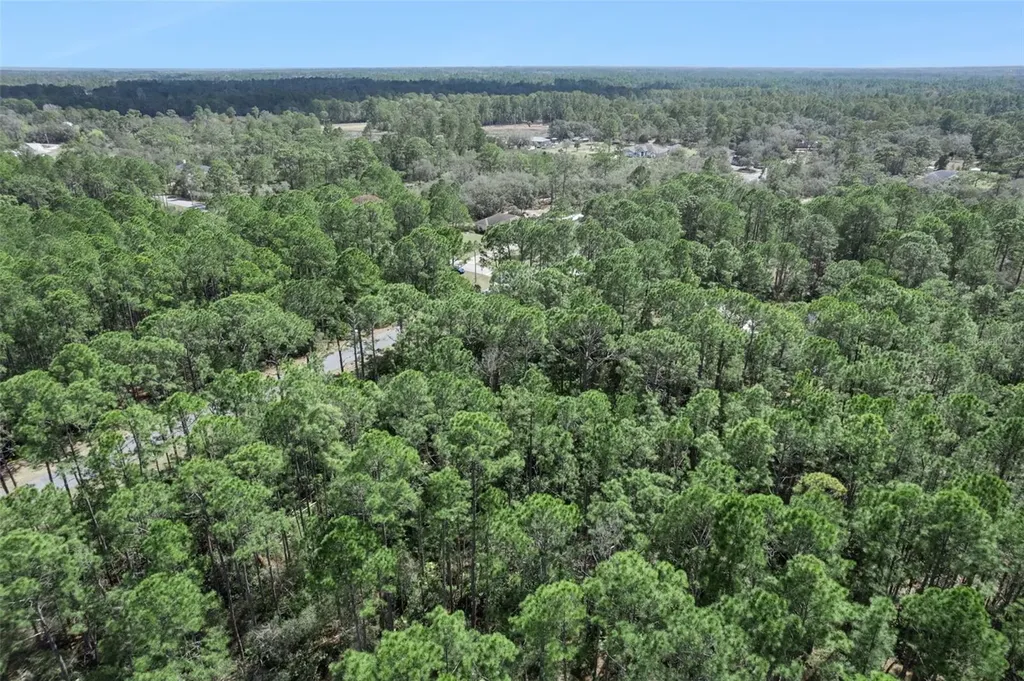 Cashew Street Eustis FL 32736