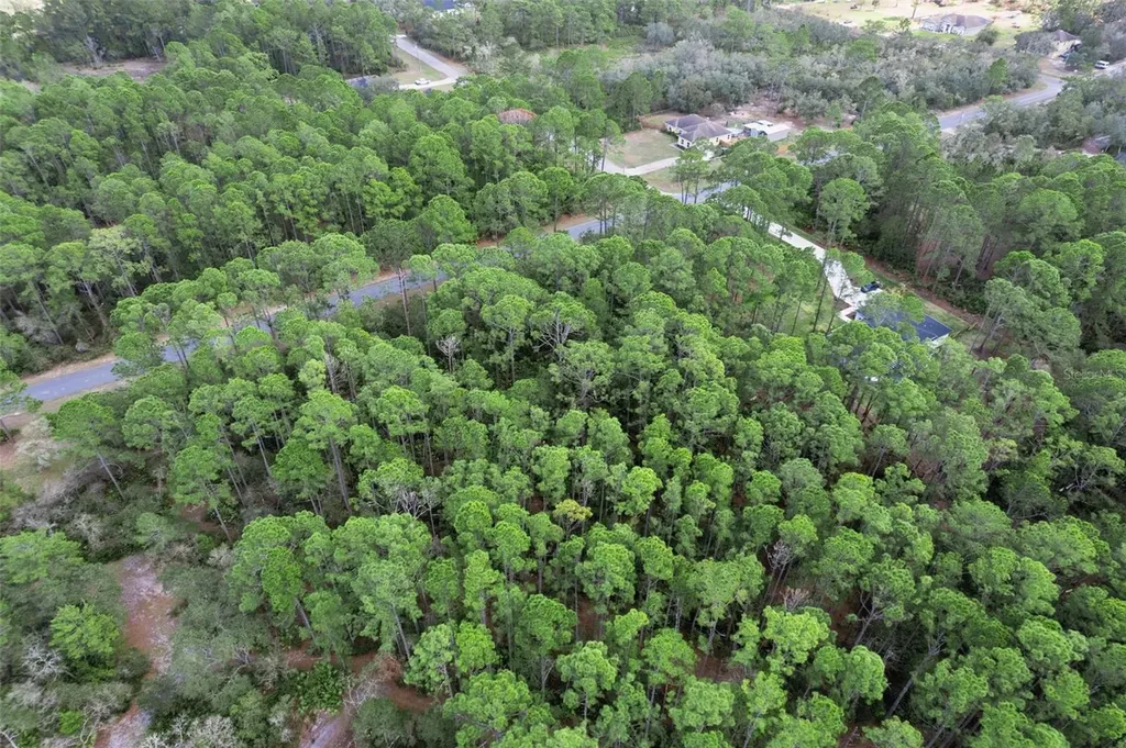 Cashew Street Eustis FL 32736