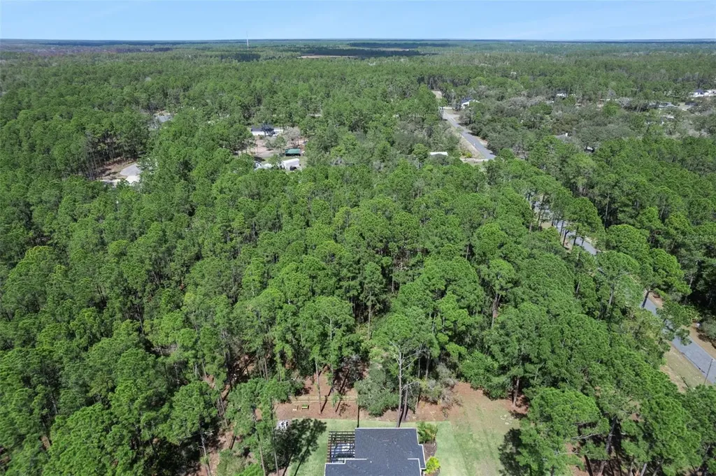 Cashew Street Eustis FL 32736