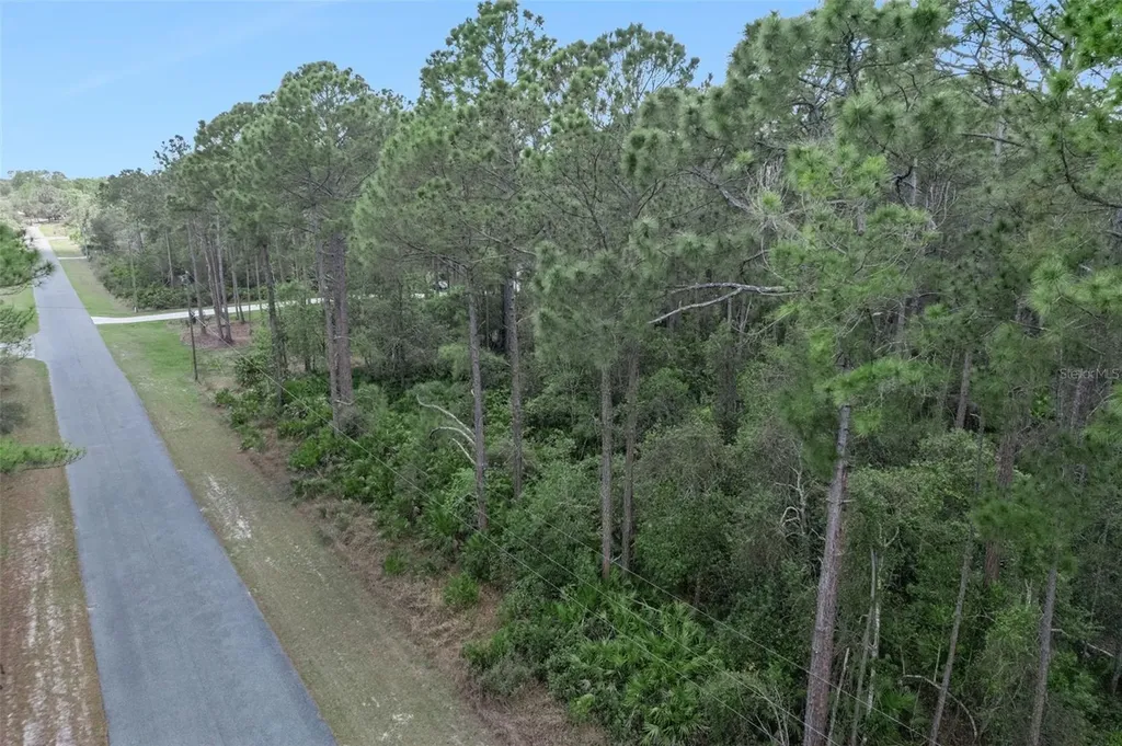 Cashew Street Eustis FL 32736