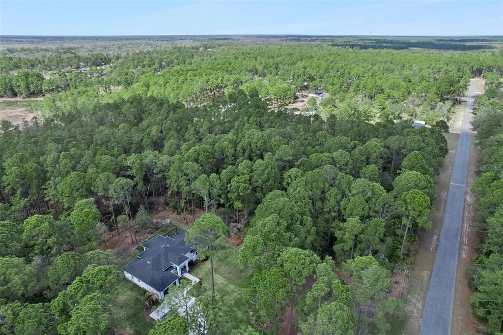 Cashew Street Eustis FL 32736