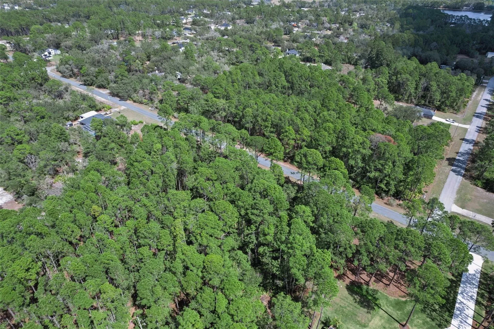 Cashew Street Eustis FL 32736