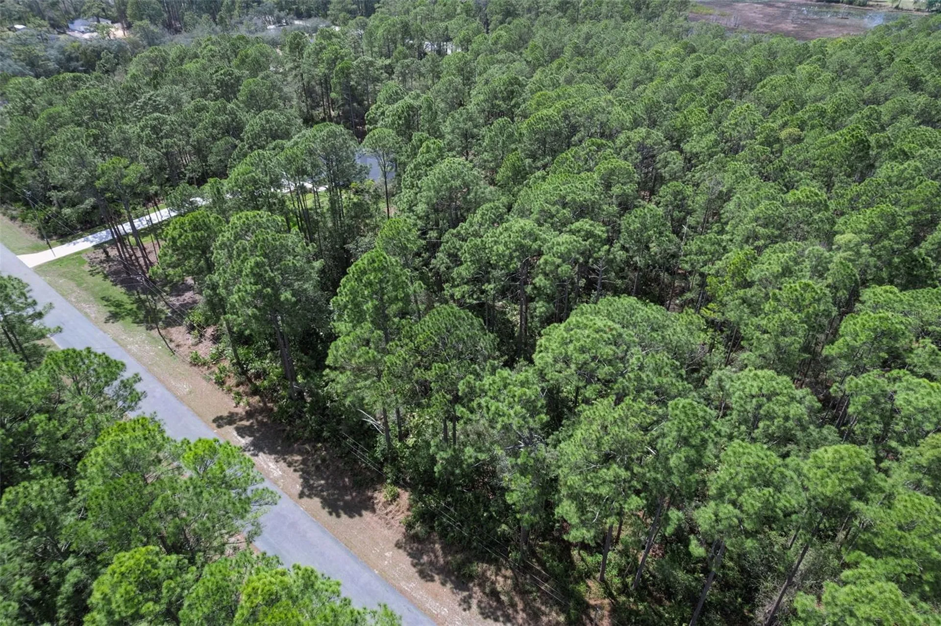 Cashew Street Eustis FL 32736