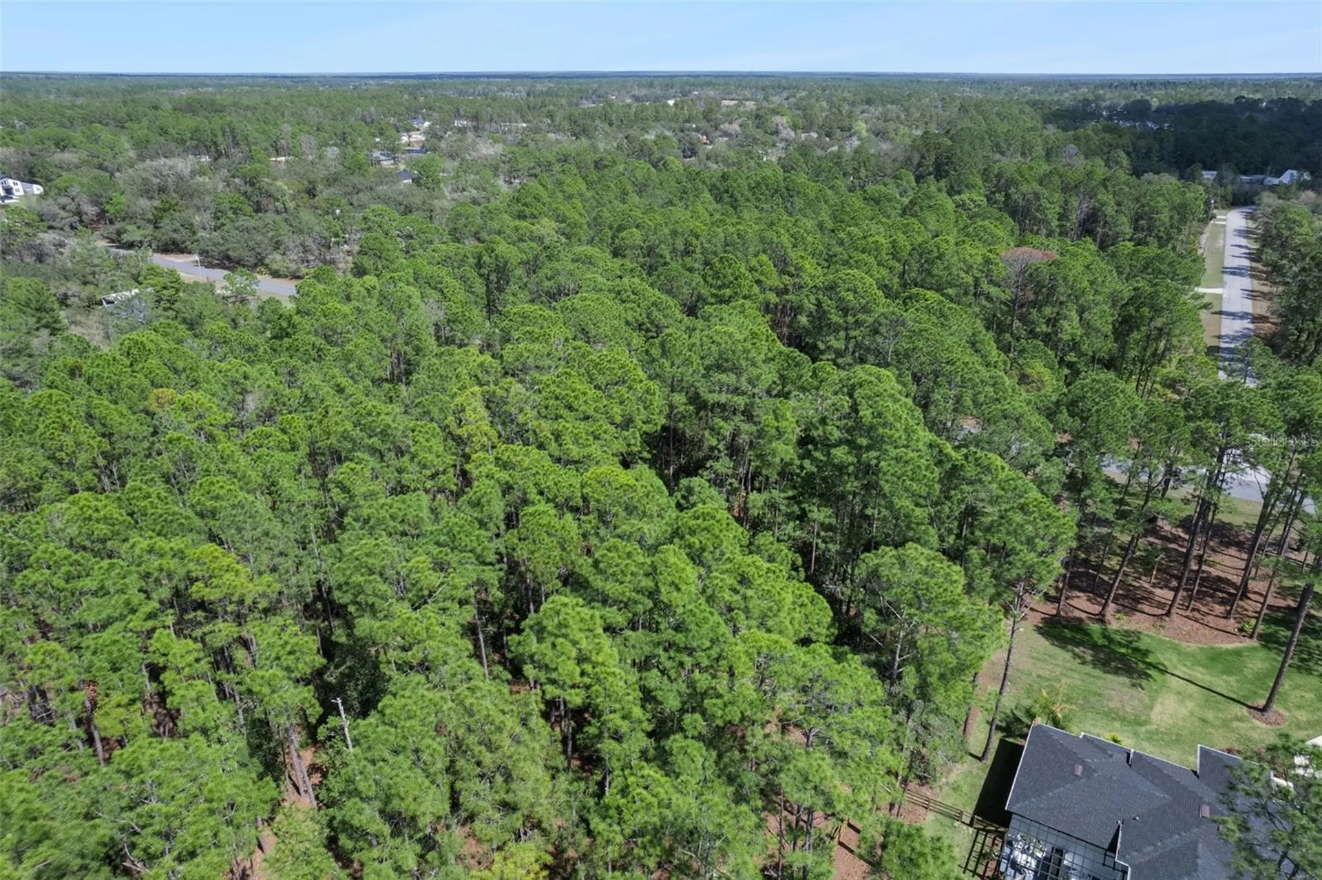 Cashew Street Eustis FL 32736