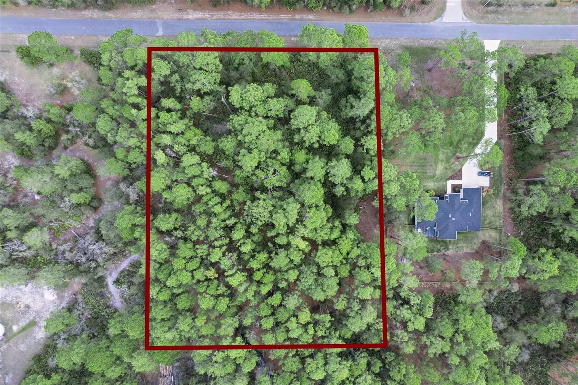 Cashew Street Eustis FL 32736