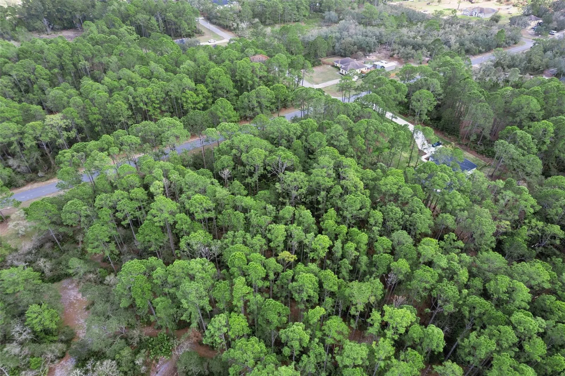 Cashew Street Eustis FL 32736