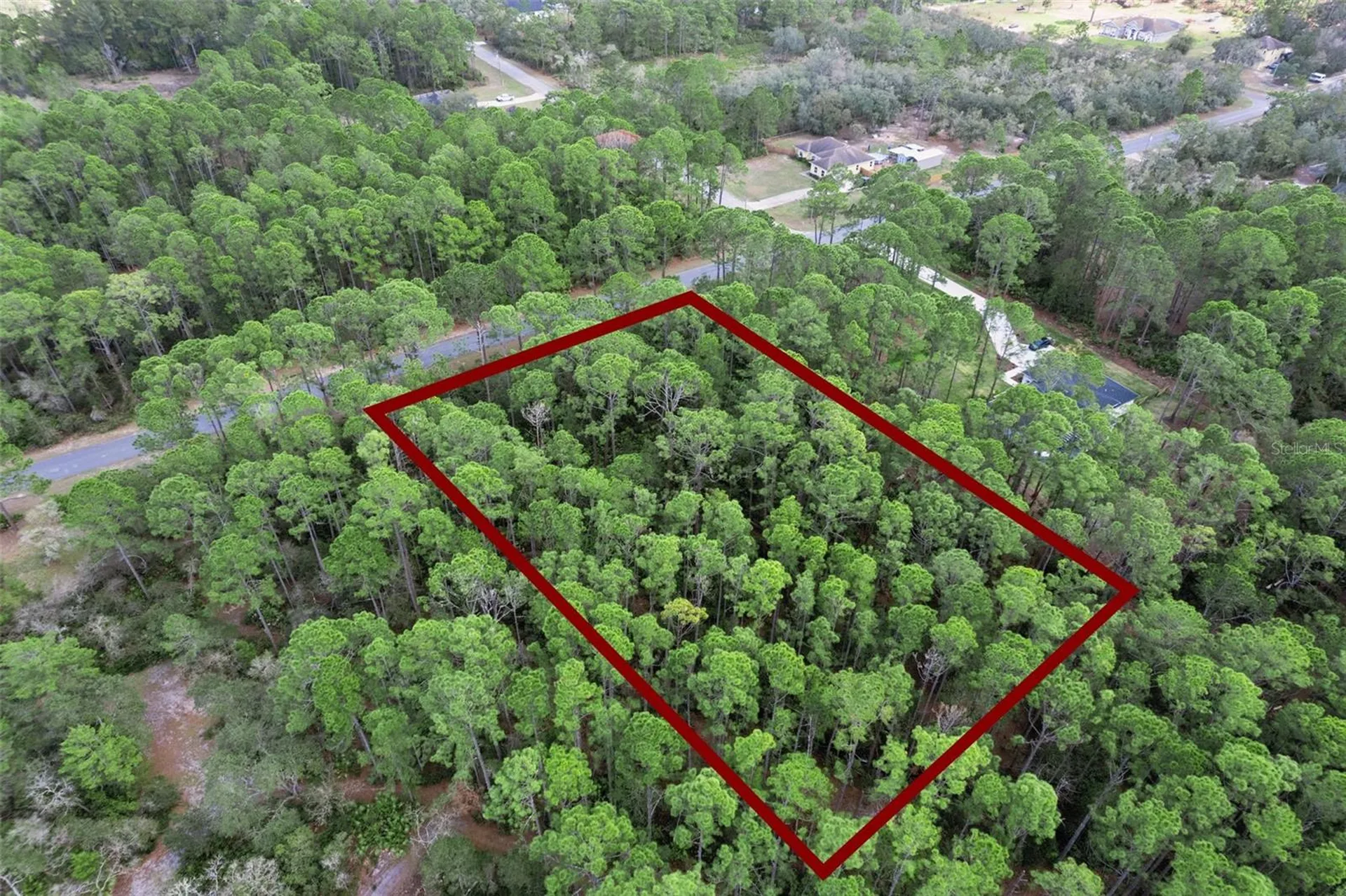Cashew Street Eustis FL 32736