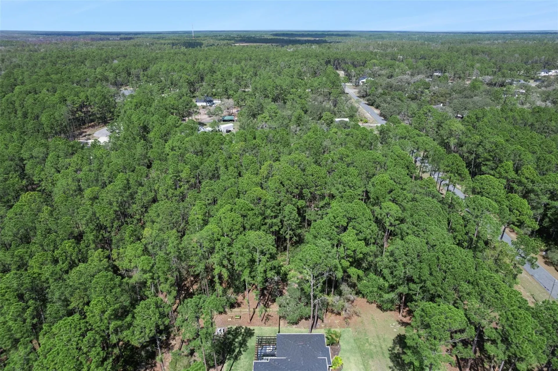 Cashew Street Eustis FL 32736