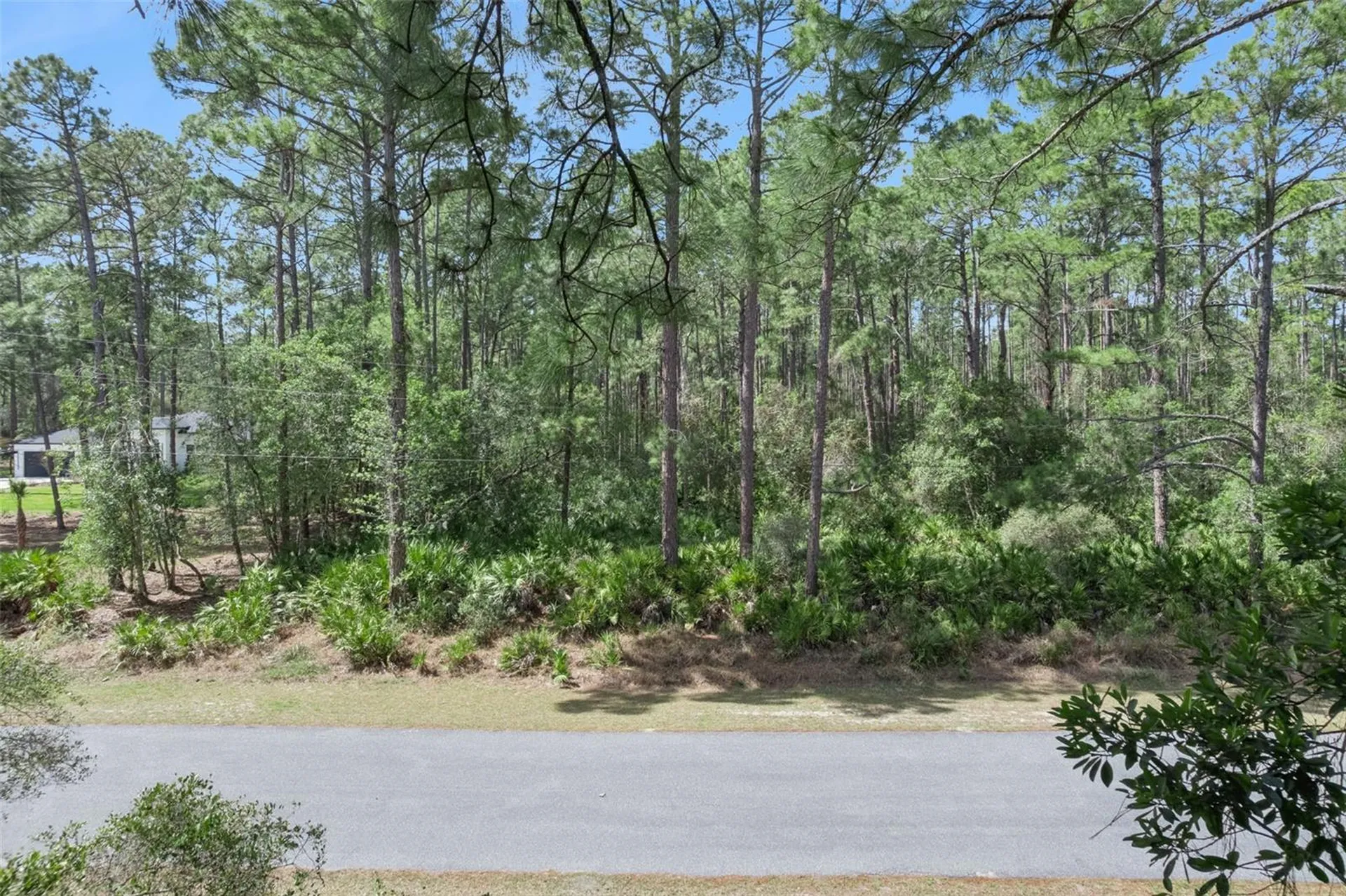 Cashew Street Eustis FL 32736