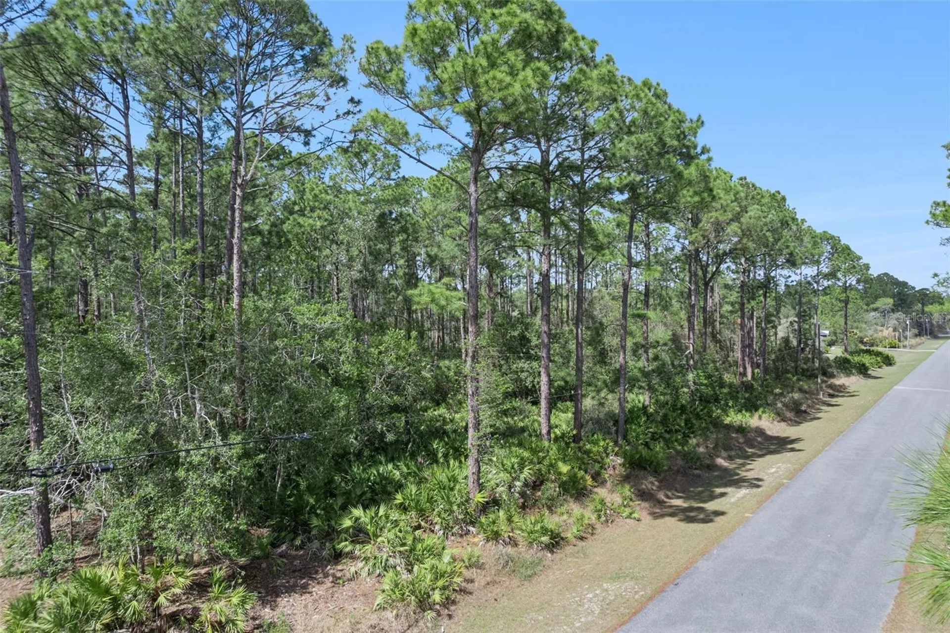 Cashew Street Eustis FL 32736