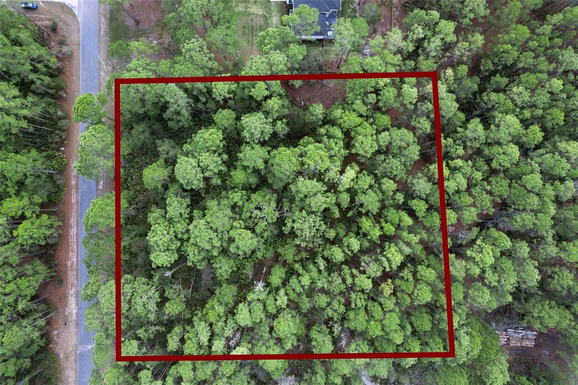 Cashew Street Eustis FL 32736